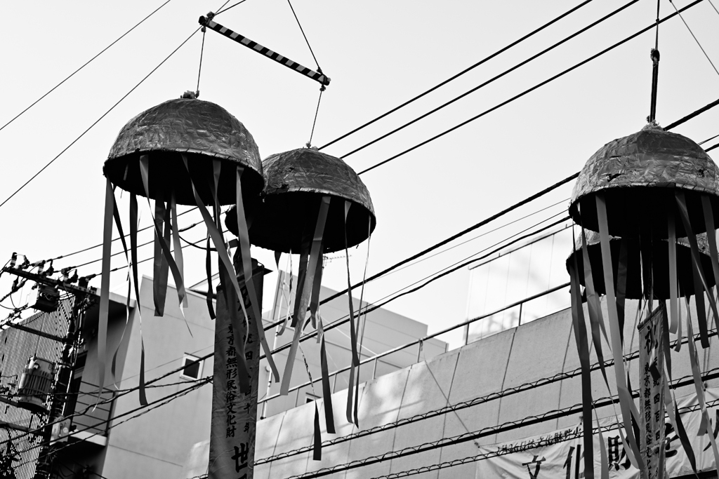 ボロ市スナップ