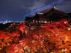 京都紅葉の記憶５：紅葉観光のアイコン