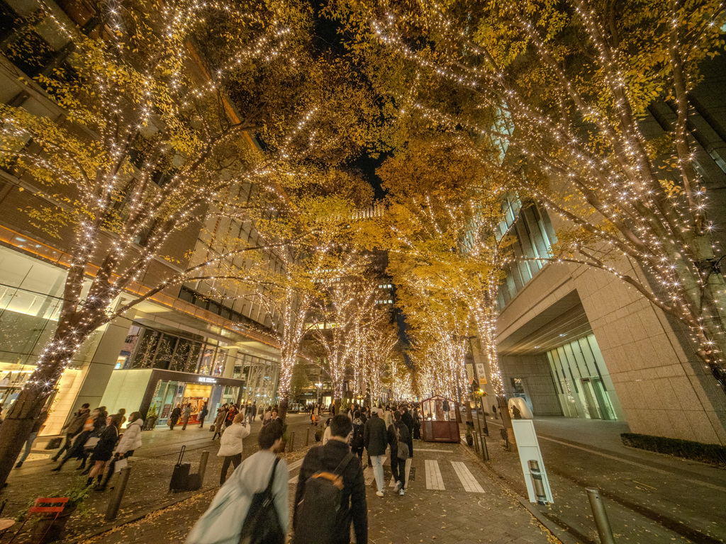 夜の東京散歩‐丸の内イルミネーション