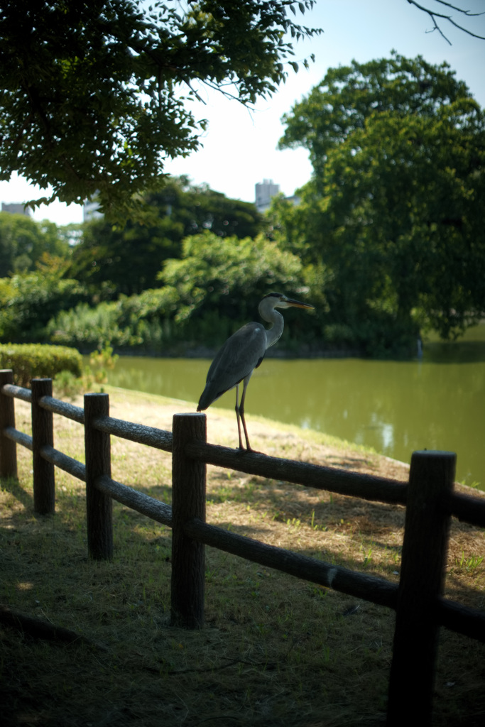 住之江公園