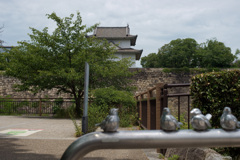 大阪城