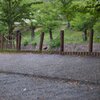 いつも誰かがそこで与えてるから
