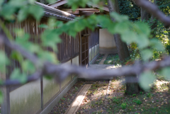 扉