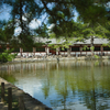 東大寺