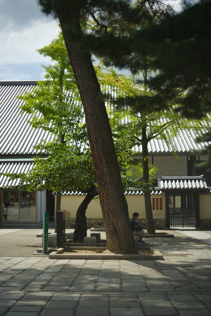 東大寺