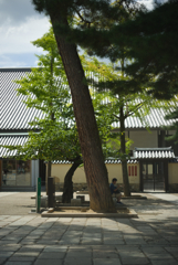 東大寺