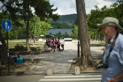 奈良公園