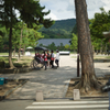 奈良公園