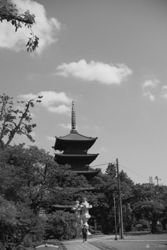 DSCF0222