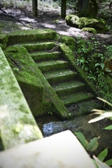 山奥散策2