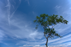 高原の空