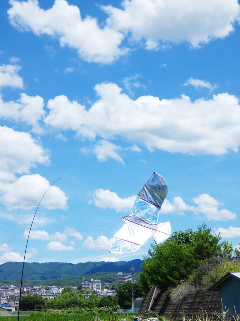 夏空に泳ぐ鳥よけカイト
