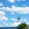 夏空に泳ぐ鳥よけカイト