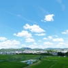 夏空と田んぼ
