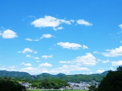 丘に上れば
