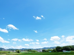 夏の風
