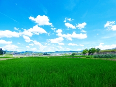 夏空風景