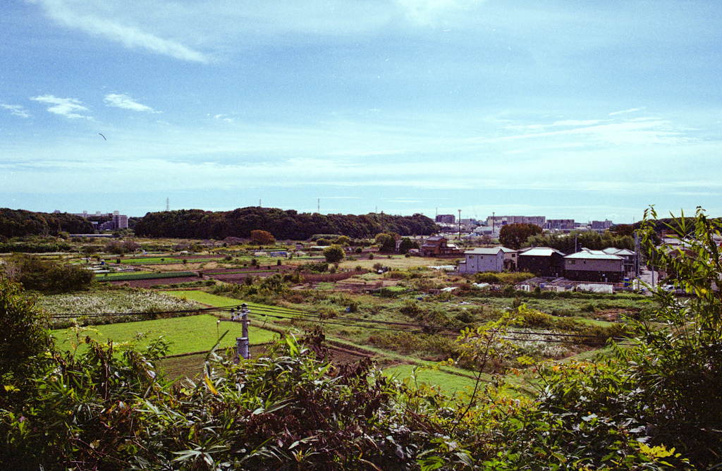 テレビもねえ、ラジオもねえ