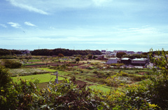 テレビもねえ、ラジオもねえ