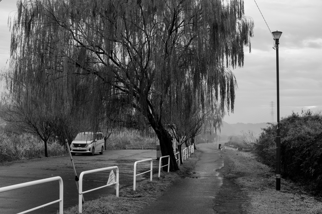 濃霧風景モノクローム3