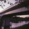 UNDER THE BRIDGE