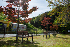 静かな休日の朝