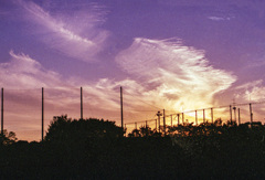 silhouette