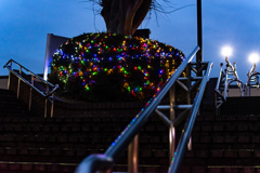 控え目イルミネーション