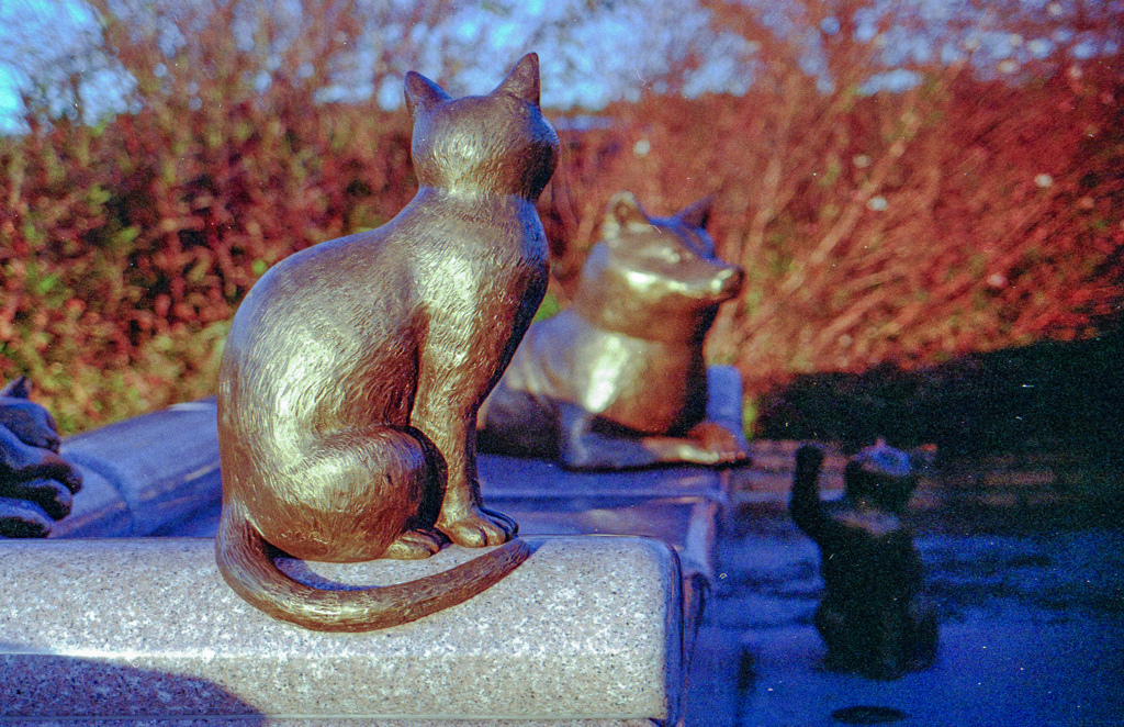 犬猫モニュメント