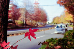 安全運転でね！