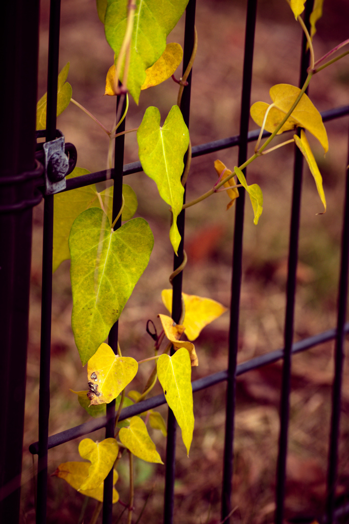 なんか絡まれた