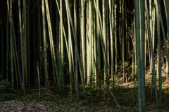 |||||||||||||/||||||/||||||