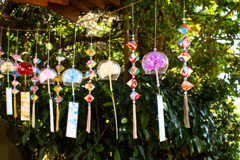 近所の神社にて