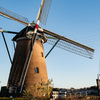 オフシーズンのオランダ風車は退屈そう