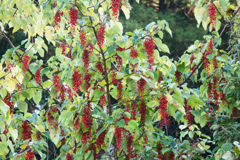 ちょっと怖い絵づらだね