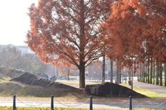 公園のモニュメント（別角度）