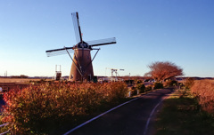 オランダ風車(film) 別カット