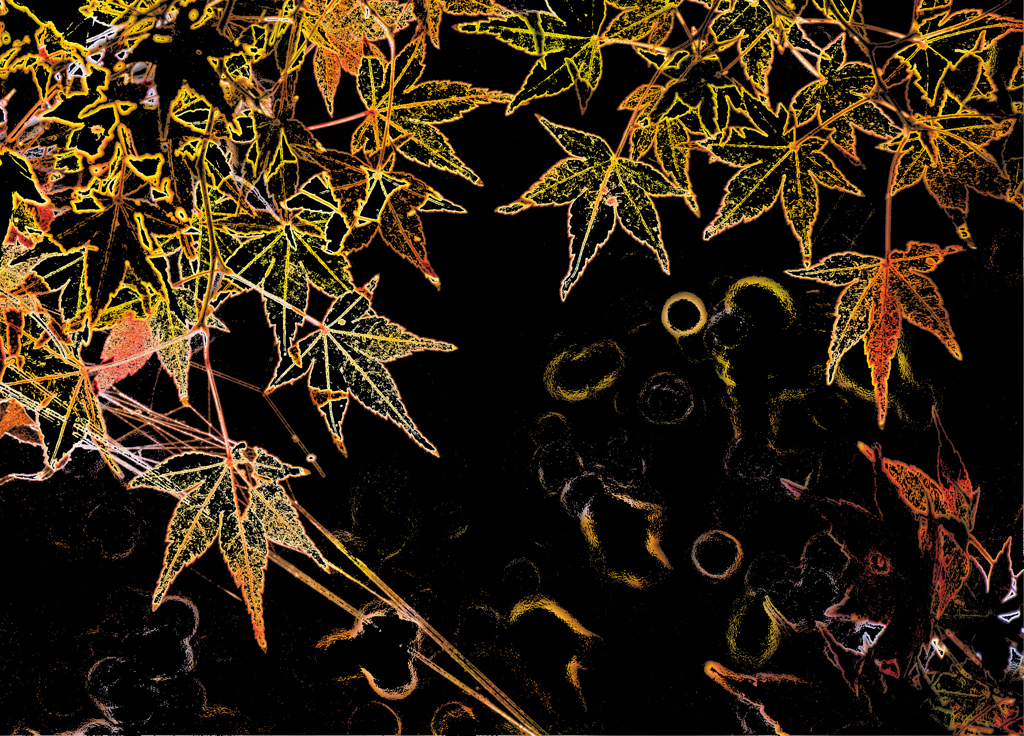 紅葉三態　ー１－