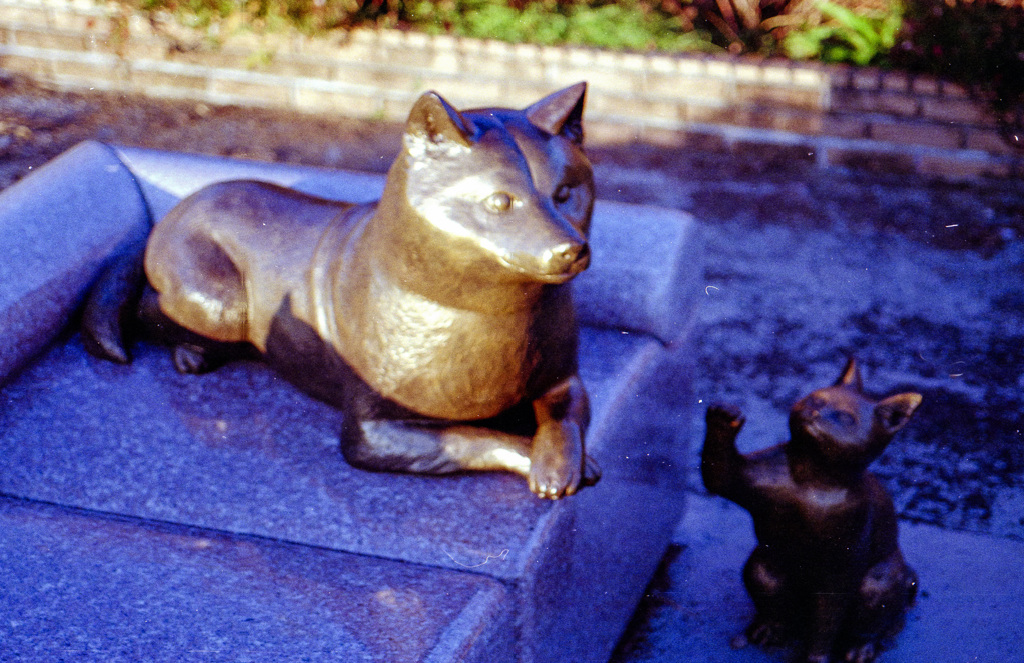 犬猫モニュメント