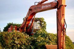 こんなになってもまだ動くのだろうか