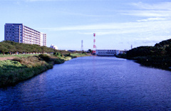Down by the River 