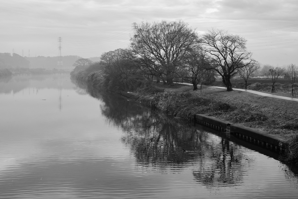 濃霧風景モノクローム