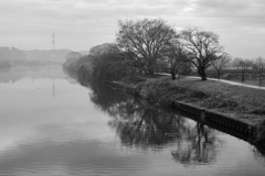 濃霧風景モノクローム