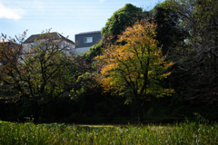 徐々に秋深まる