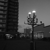 街灯夕刻を照らす