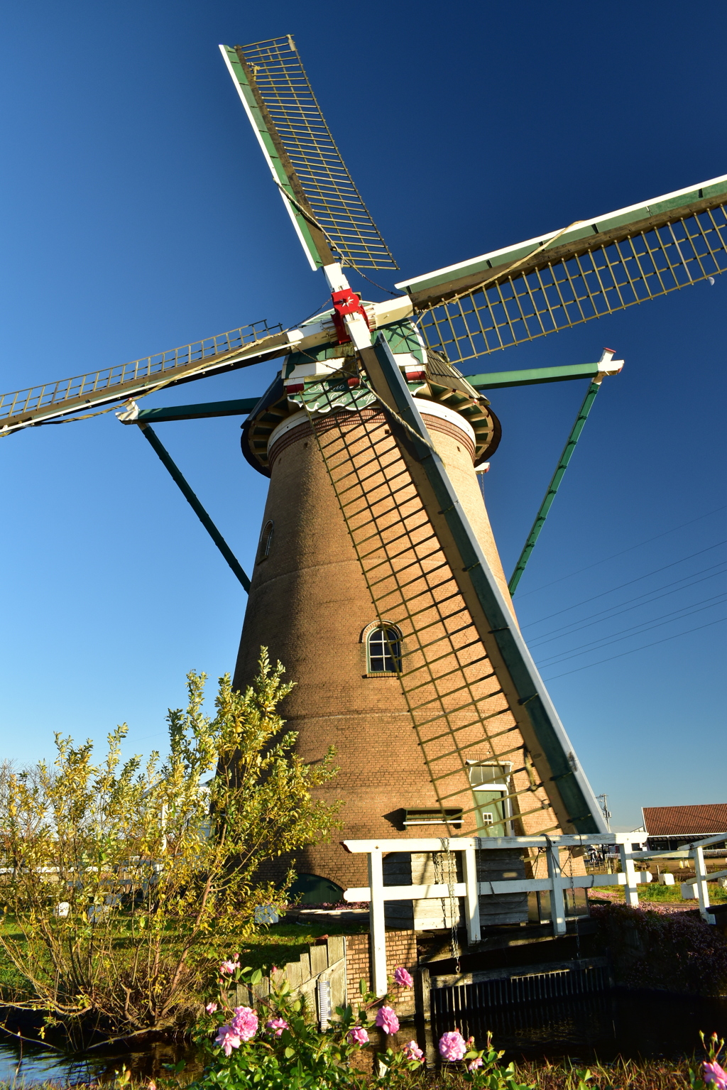 気怠そうに回ります