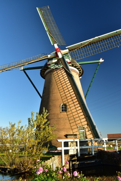 気怠そうに回ります