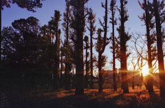 ここ西日強くね？