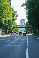 夏の4車線