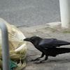 ボクはお腹が空いてるのだ！